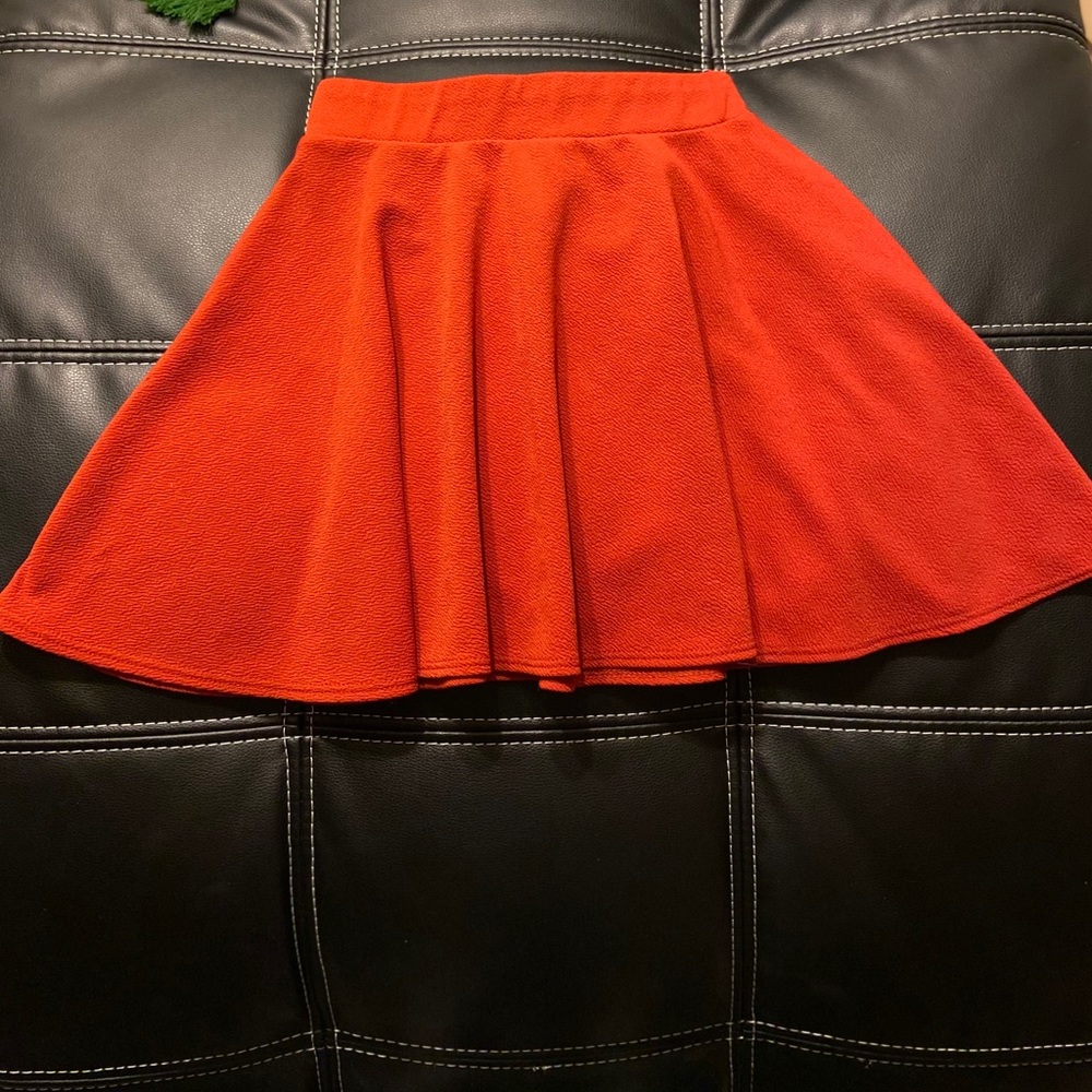 A Line Flared Skirt
